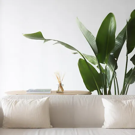 Apartment B View Madeira - Ocean & Bay View Camara de Lobos