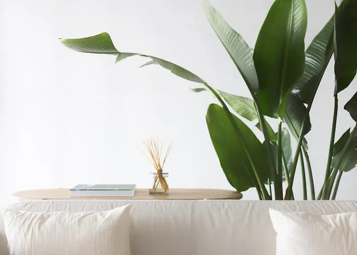 아파트 B View Madeira - Ocean & Bay View 카메라데로보스